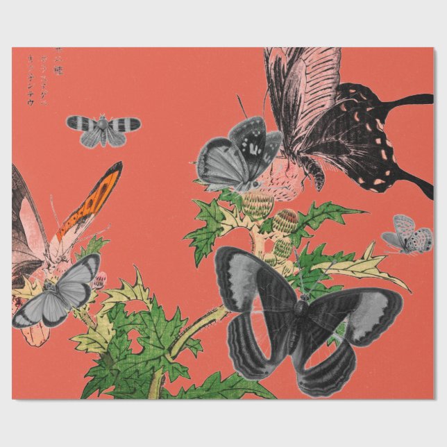 Presente MANTEIRAS DE Papel E JAPONÊS VERMELHOS (Aberto)