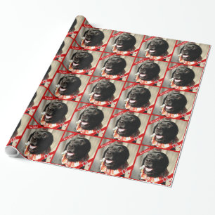 Presente Modelo personalizado do papel de envolvimento da