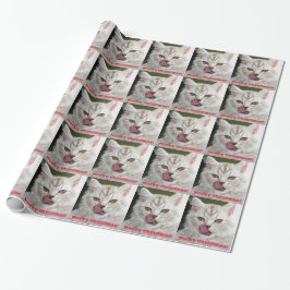 Presente Natal bonito, papel de Meowy de envolvimento