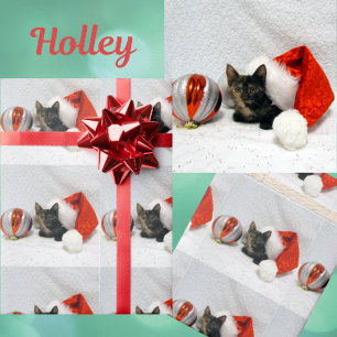 Presente Natal do Holley 2 - Papel de moldagem de Gato/Gato