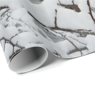 Presente NEVE no papel de envolvimento dos RAMOS