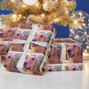 Presente Nova o Ouro Retriever - Papel de empacotamento