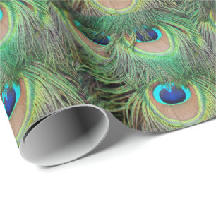 Presente O pavão empluma-se o papel de envolvimento 3