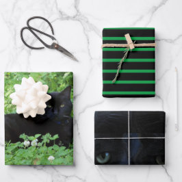 Presente ou Artesanato de Gata Negra