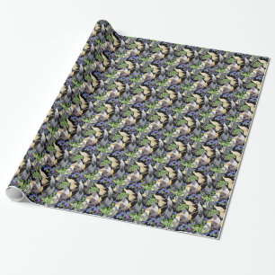 Presente Papagaios do Cockatiel no papel de envolvimento