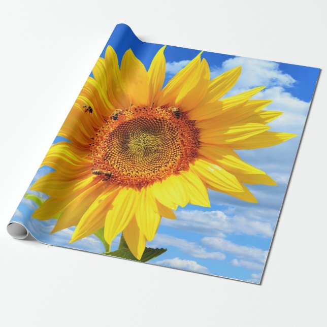 Presente Papel amarelo girassol e papel de enrolamento das  (Desenrolado)