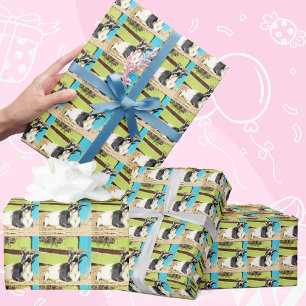Presente Papel bonito para enrolamento de caprinos