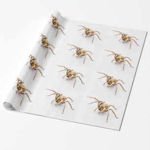 PRESENTE PAPEL BRANCO DE ENVOLVIMENTO COM LINHAS DE ARANHAS