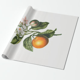 PRESENTE PAPEL DE EMBALAGEM: BLOSSOM DE LARANJA