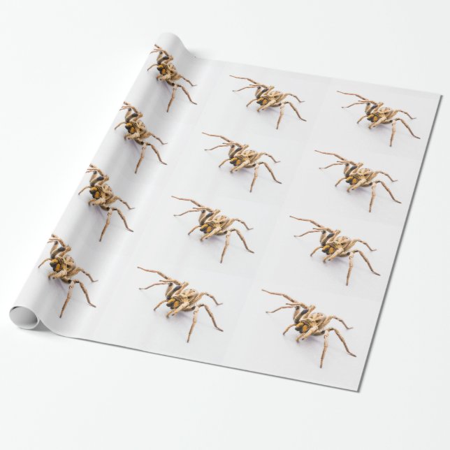 PRESENTE PAPEL DE EMBALAGEM BRANCO COM FILEIRAS DE ARANHAS. (Desenrolado)