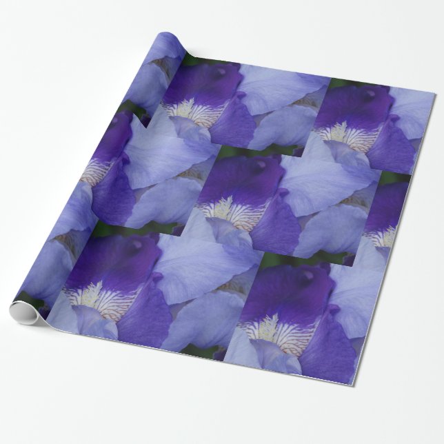 Presente Papel De Embalagem Brilhante Iris Com Flor Roxo (Desenrolado)