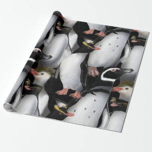 Presente Papel de embalagem colorido da família dos pingui