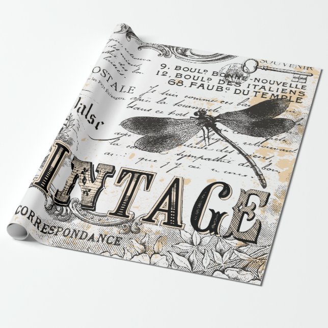 Presente Papel De Embalagem De Dragonfly - Vintage Francês (Desenrolado)
