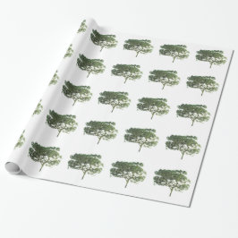 PRESENTE PAPEL DE EMBALAGEM PARA PRESENTES ESTILOS DE ARTE&