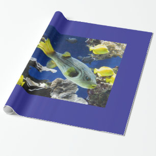Presente papel de embalagem, sob o mar, peixe