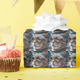 Presente PAPEL DE EMBALAGENS DE ANIVERSÁRIO DE GATO legal