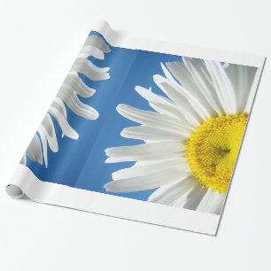 Presente Papel de embrulhamento das flores de margarida bra