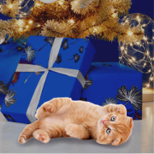 Papel de empacotamento