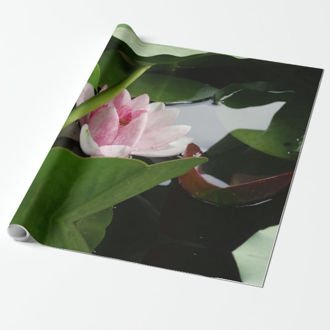 Presente Papel de empacotamento de fotos com ventilador de  (Desenrolado)