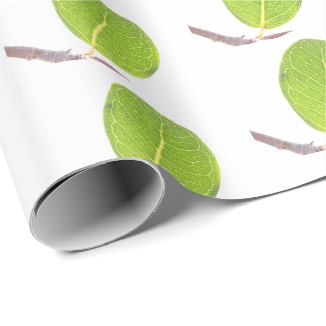 Presente Papel de empacotamento de textura verde-rica em fi (Ponta do rolo)