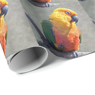 Presente Papel de empacotamento Jenday Conure