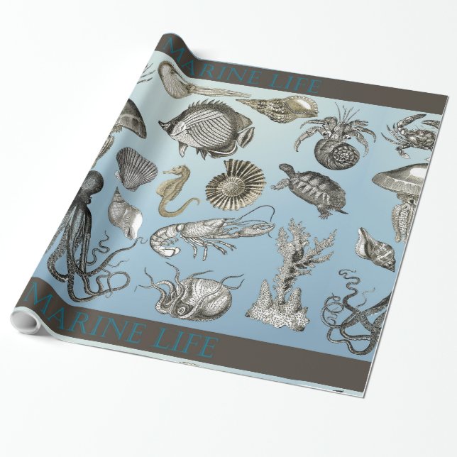 Presente Papel de empacotamento Marine Life 1 (Desenrolado)
