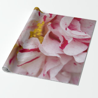 Presente Papel de enrolação de Camellia, com distribuição d