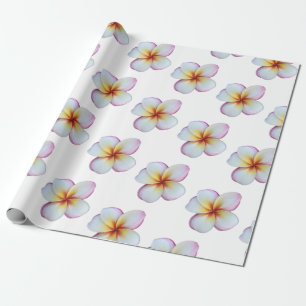 Presente Papel de enrolamento da Plumeria Rosa Quente
