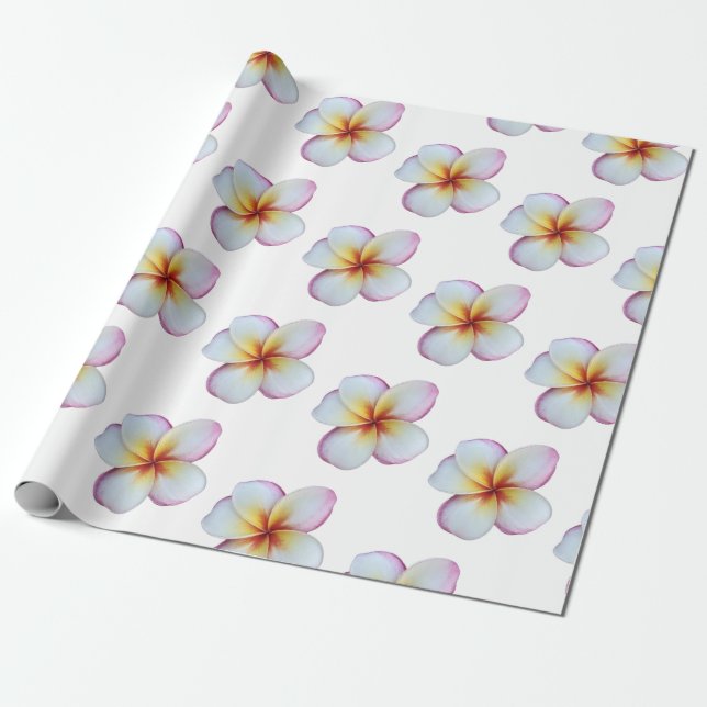 Presente Papel de enrolamento da Plumeria Rosa Quente (Desenrolado)