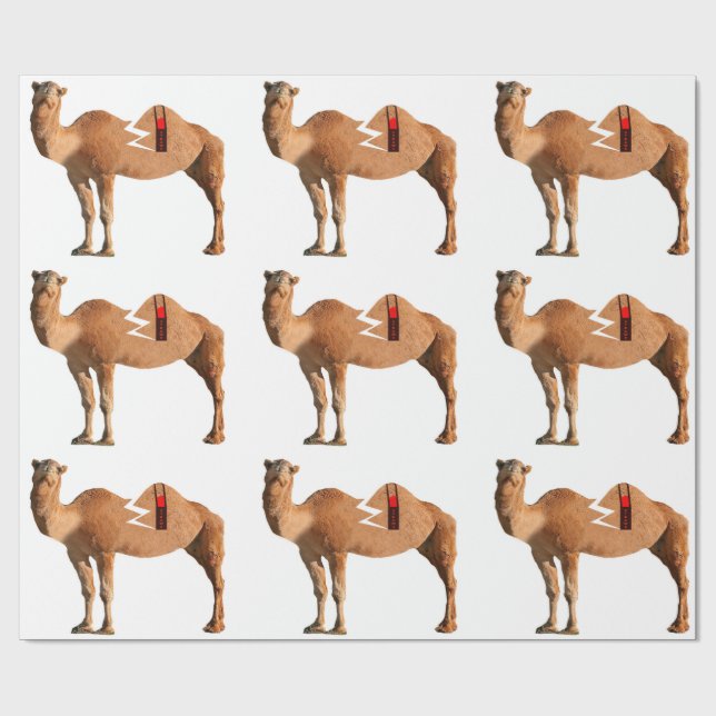 Presente Papel de enrolamento de divórcio (Aberto)