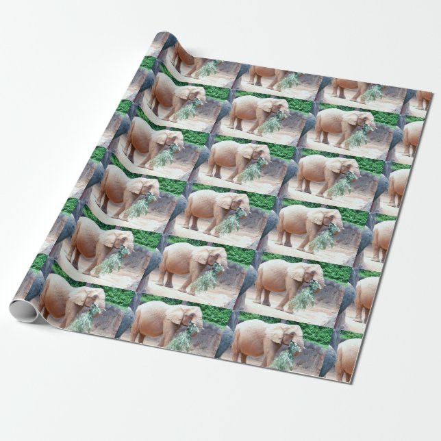 Presente Papel de enrolamento de elefantes (Desenrolado)