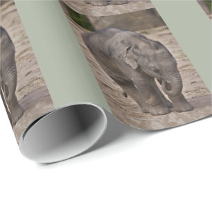 Presente Papel de enrolamento de elefantes bebês