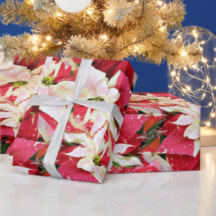 Presente Papel de enrolamento de feriados no Red Poinsettia