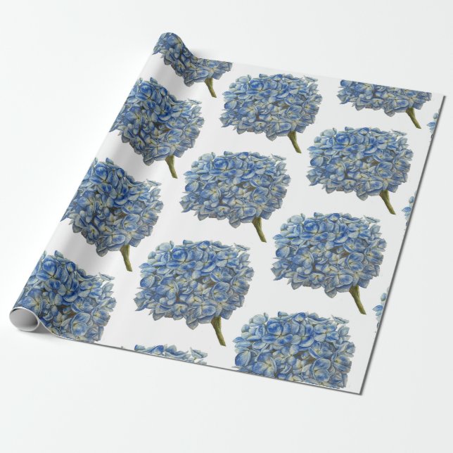 Presente Papel de enrolamento de Hydrangea azul (Desenrolado)