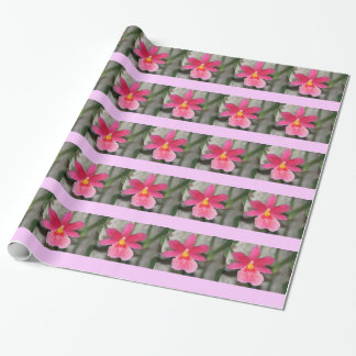 Presente Papel de enrolamento de orquídeas rosa