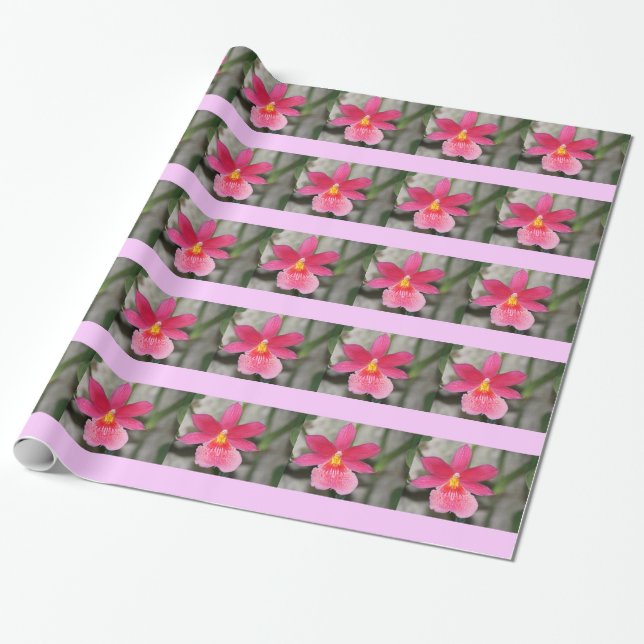 Presente Papel de enrolamento de orquídeas rosa (Desenrolado)