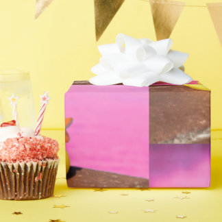 Presente Papel de enrolamento de patos