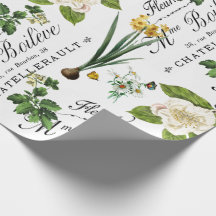 Papel de enrolamento de ventilador de Primavera fr