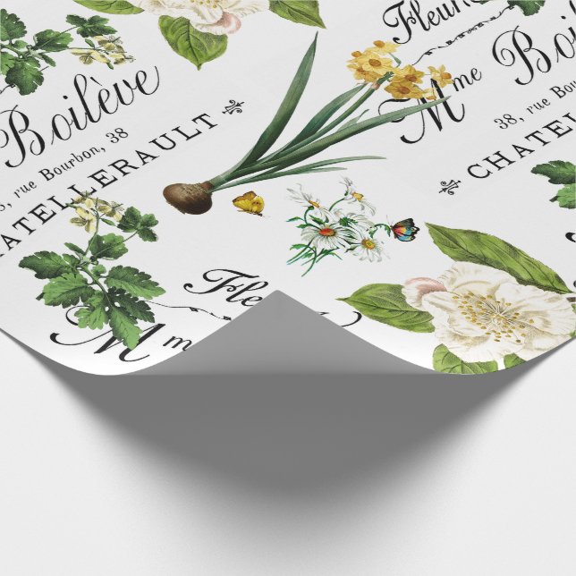 Presente Papel de enrolamento de ventilador de Primavera fr (Ponta)