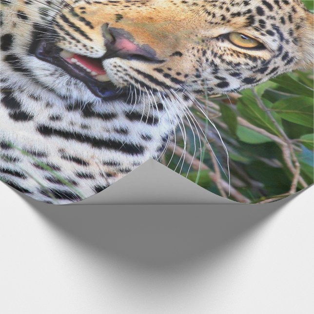 Presente Papel de enrolamento Leopardo 6 (Ponta)