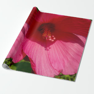 Presente Papel de enrolamento Linen Foto em Hibiscus Rosa