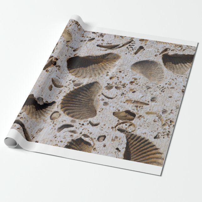 Presente Papel de envolvimento (Desenrolado)