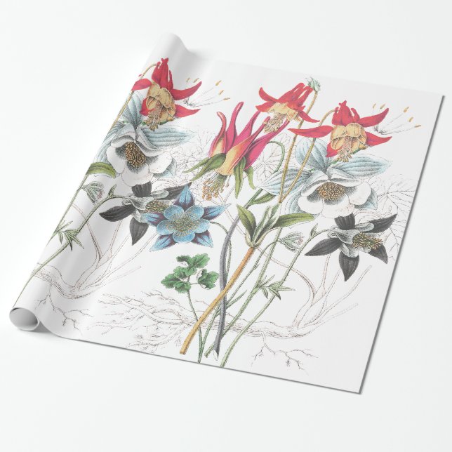 Presente Papel de envolvimento aquilégia das flores (Desenrolado)