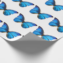 Papel de envolvimento azul da borboleta