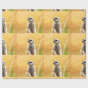 Presente Papel de envolvimento bonito de Meerkat