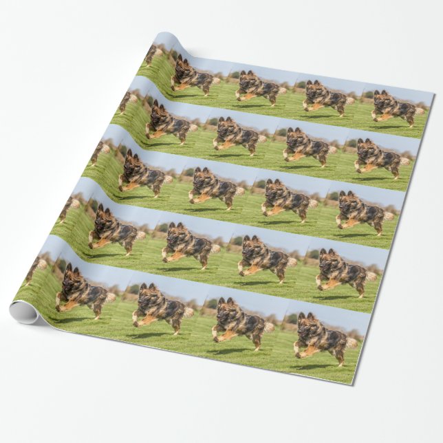 Presente Papel de envolvimento com Alsatian do cão de (Desenrolado)