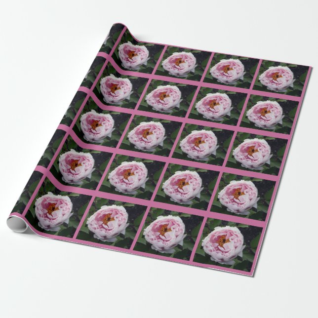 Presente Papel de envolvimento cor-de-rosa perfeito da (Desenrolado)