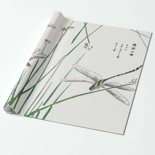 Presente Papel de envolvimento CUSTOMIZÁVEL da MOSCA (Desenrolado)