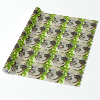 Presente Papel de envolvimento da alpaca