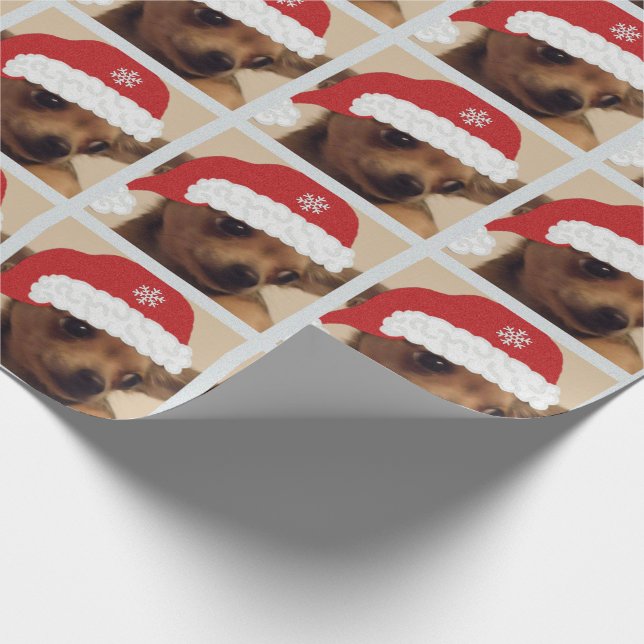 Presente Papel de envolvimento da chihuahua do Natal (Ponta)